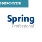 Spring Professional