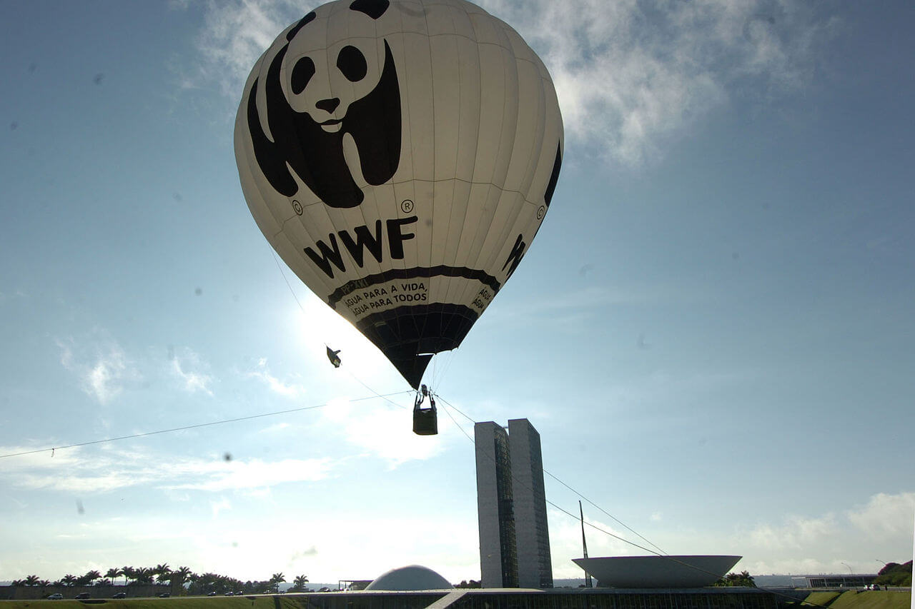 Vagas no WWF Angola