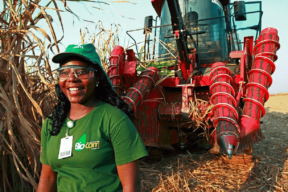 Emprego na Biocom Angola Vagas na Biocom Angola