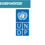 UNDP