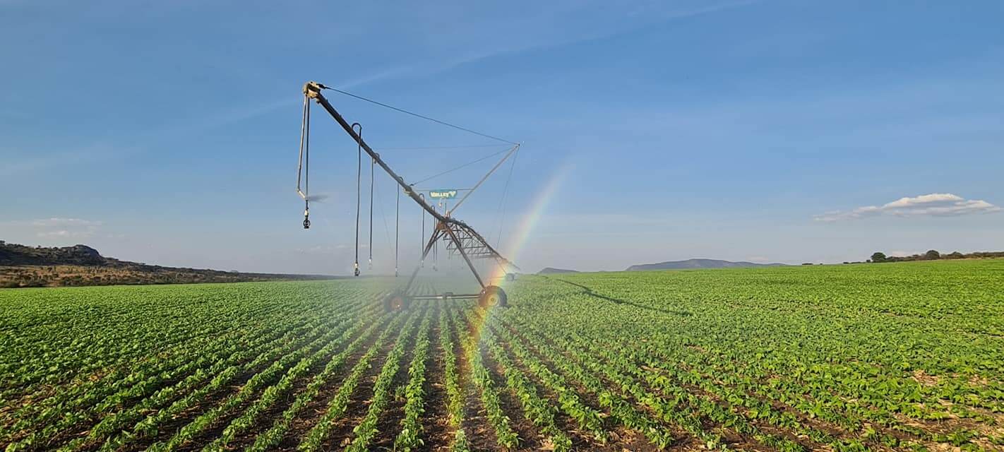 Recrutamento na Agropecuária Kambondo Angola Vagas na Agropecuária Kambondo Angola