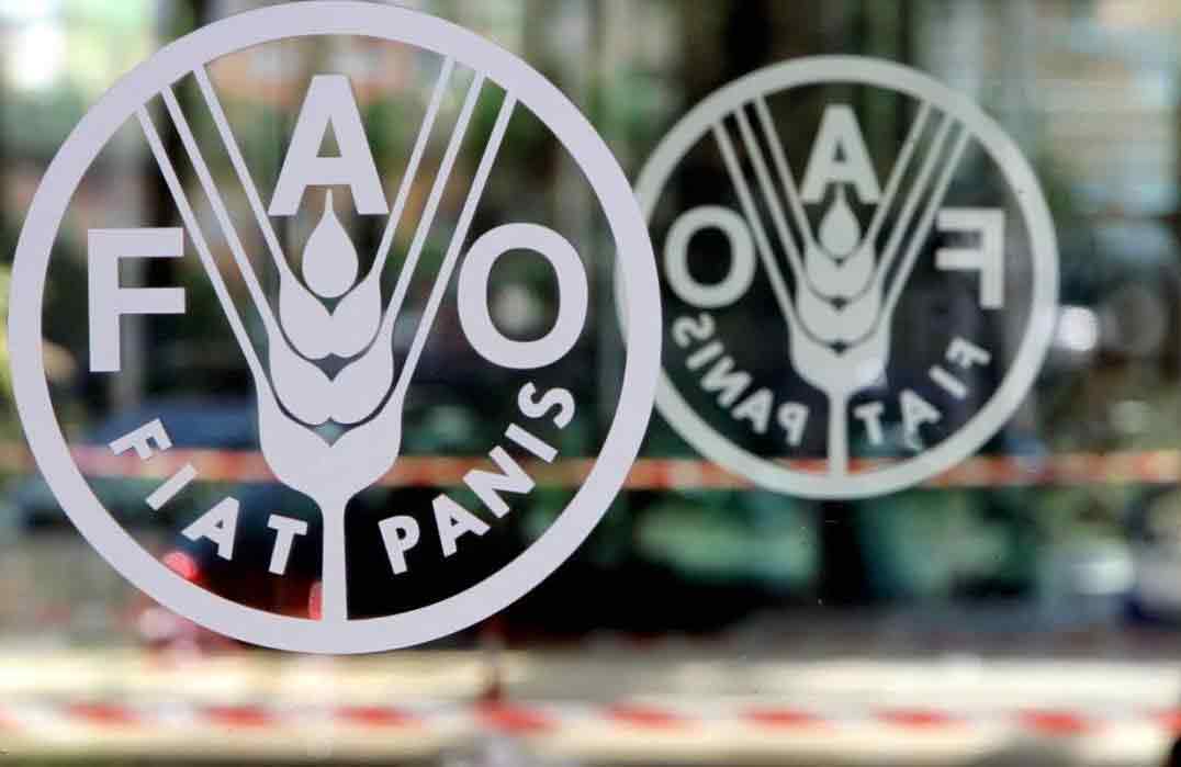 Vagas na FAO Angola