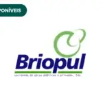 Briopul