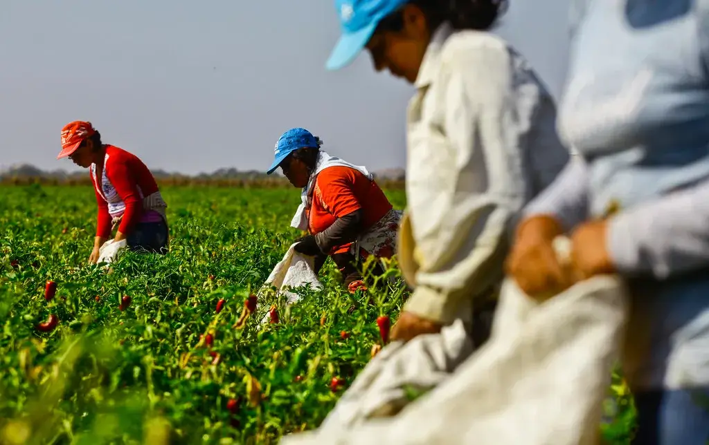 Vagas na Sodosa Angola
