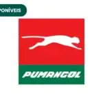 Grupo Pumangol