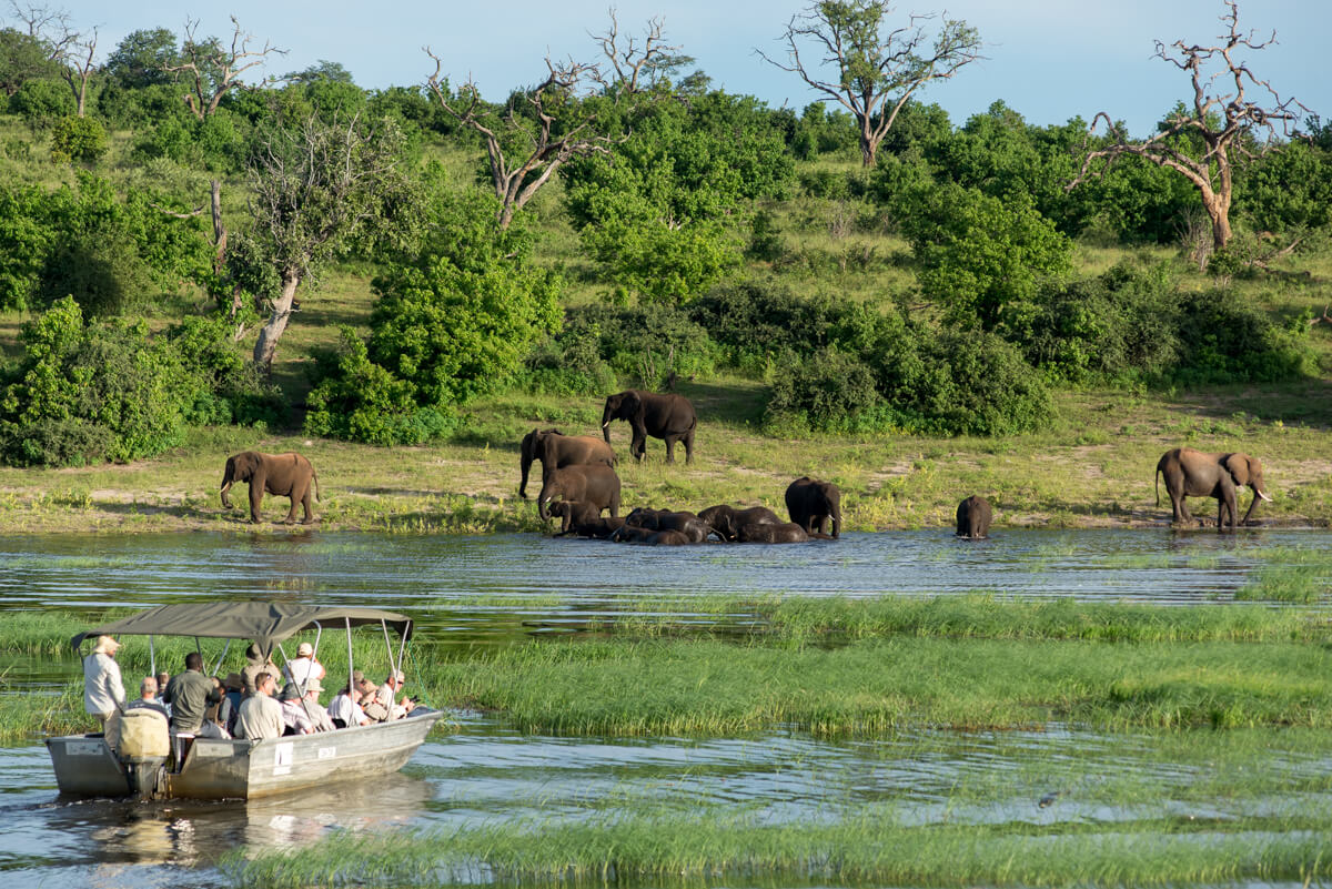 Recrutamento na African Parks Angola Vagas na African Parks Angola