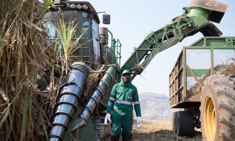 Recrutamento na Biocom Angola Vagas na Biocom Angola