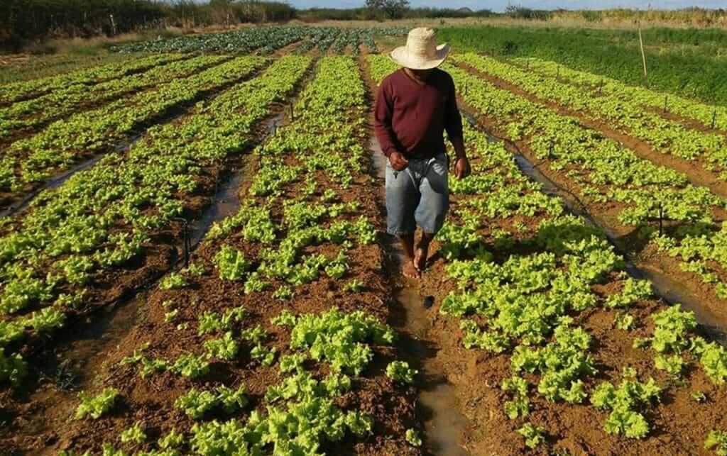Recrutamento na Prodesi Angola Vagas na Prodesi Angola