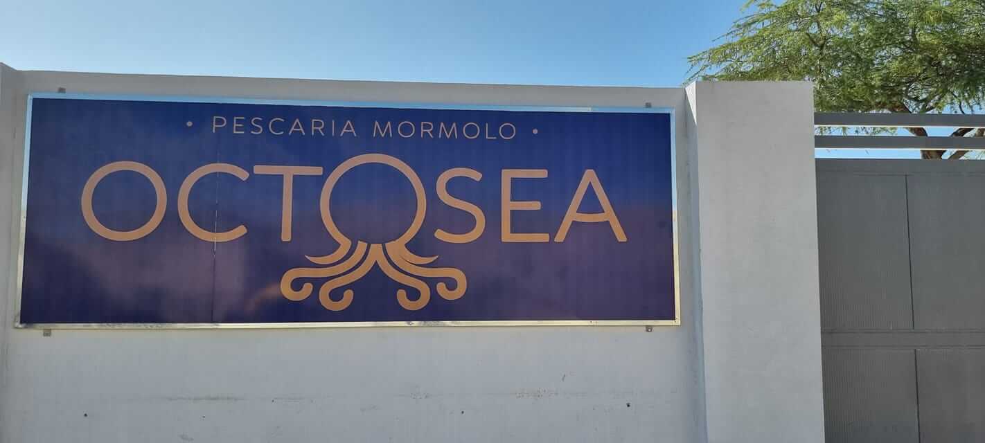 Recrutamento na Pescaria Mormolo Angola Vagas na Pescaria Mormolo Angola