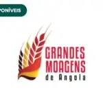 Grandes Moagens de Angola
