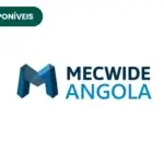 Mecwide
