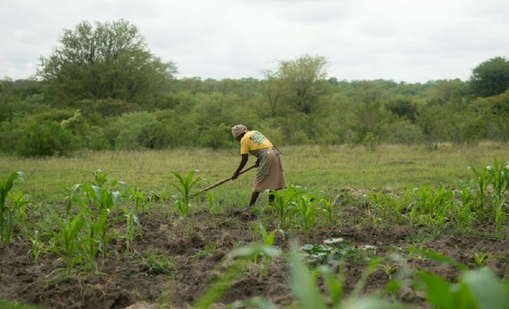 Recrutamento na KAYA Angola Vagas na KAYA Angola