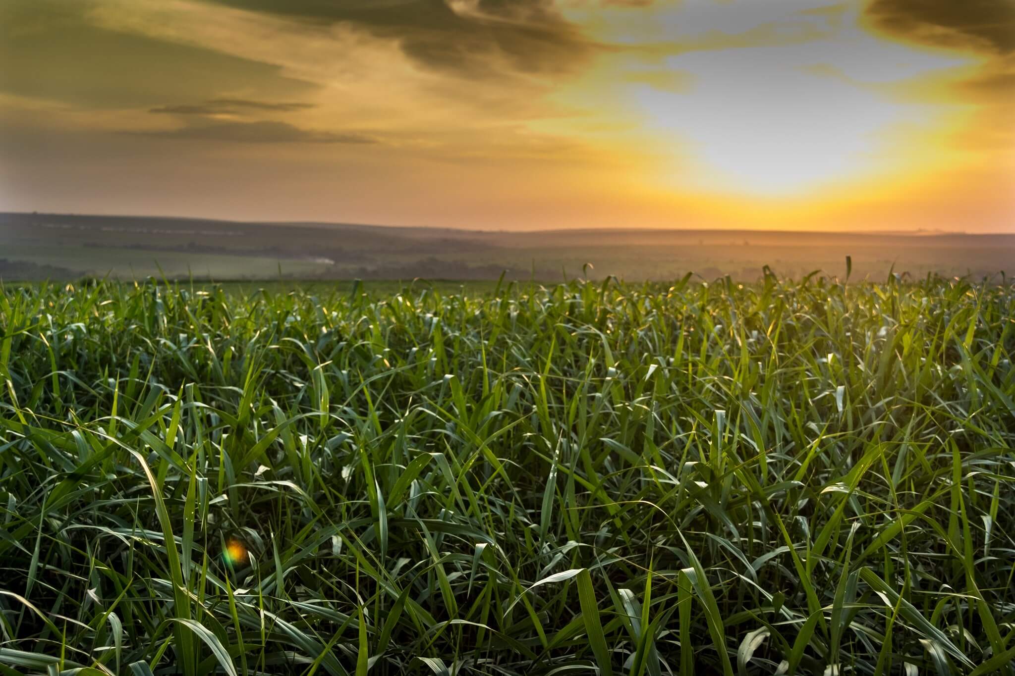 Recrutamento na Agropec Angola Vagas na Agropec Angola