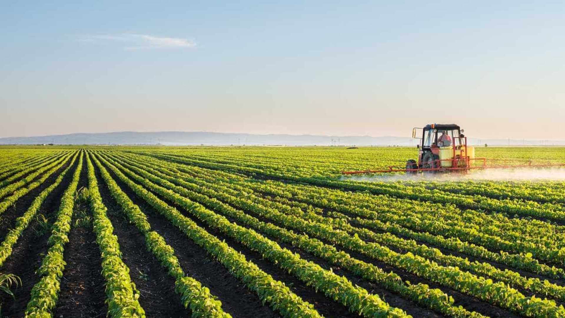 Vagas na Proxiagro Angola