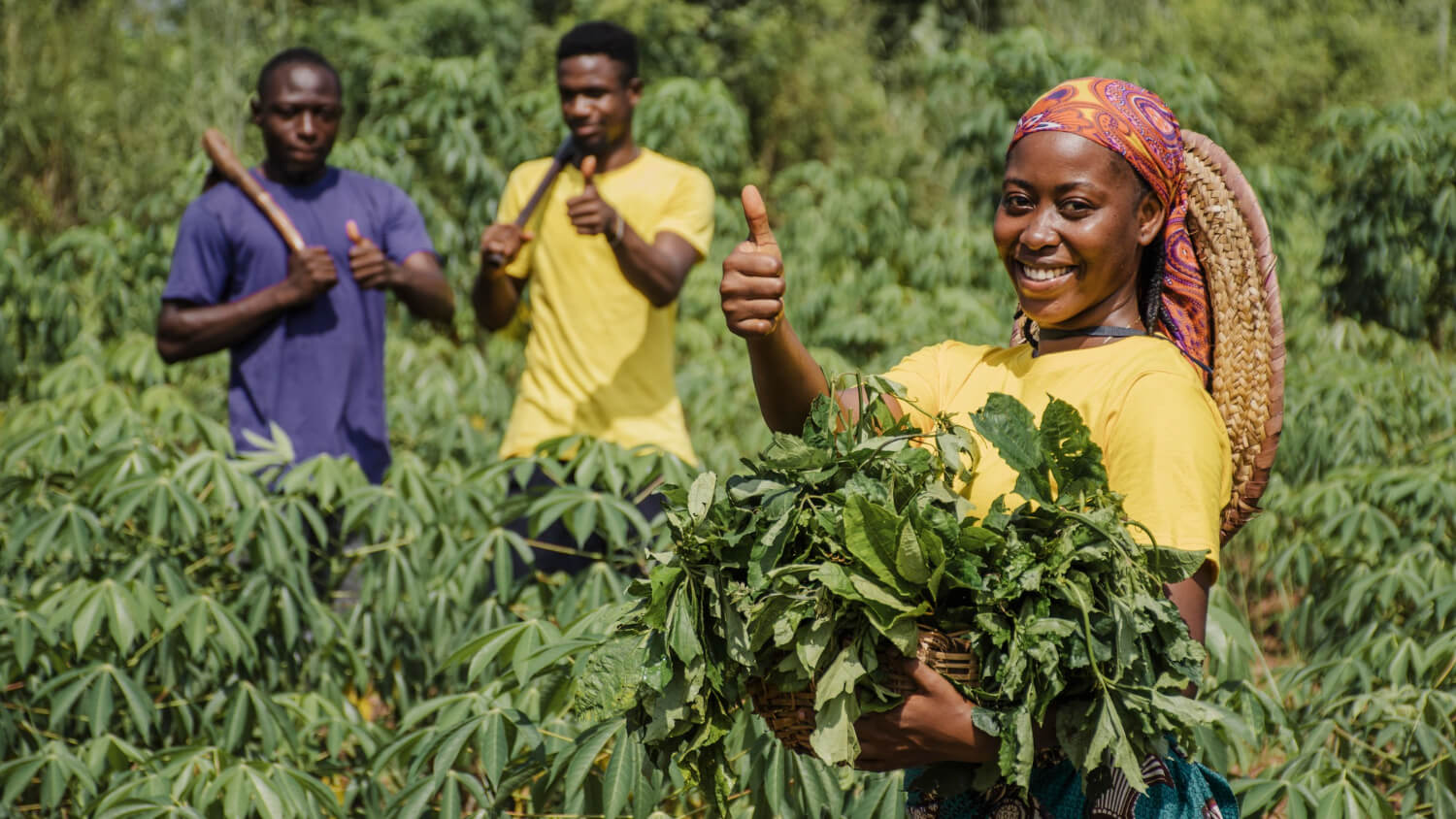 Recrutamento na Agrobiz Angola Vagas na Agrobiz Angola