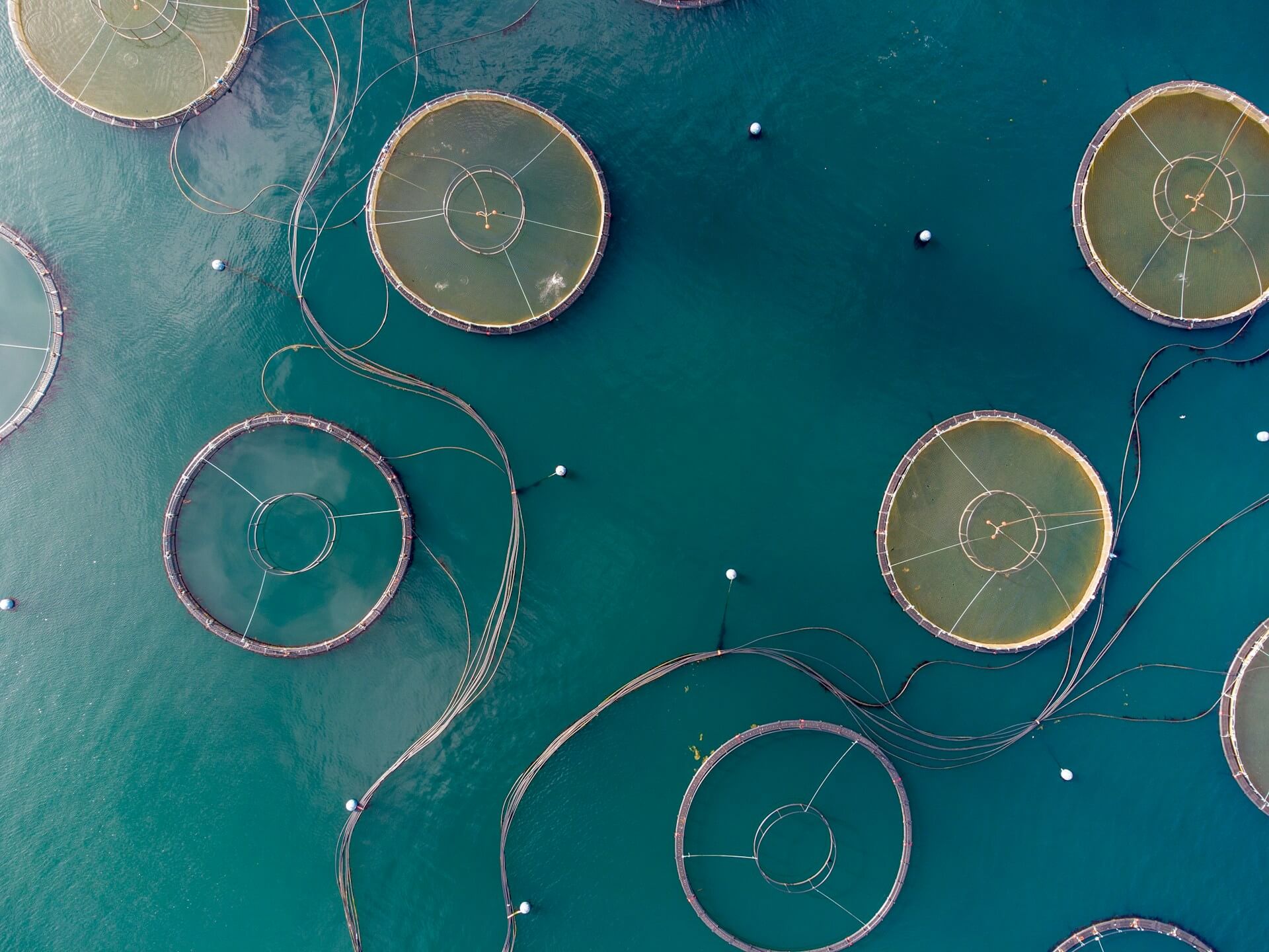 Vagas na Pescaszenzamar Angola