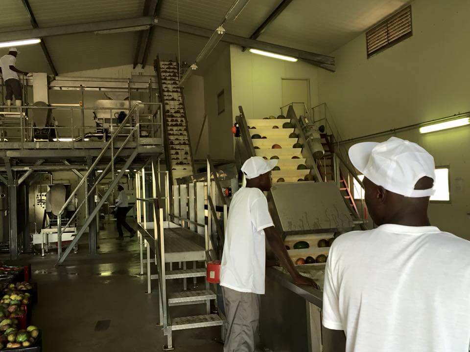 Vagas na Feito em Angola